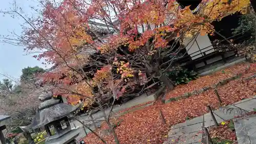 勝林寺(京都府)