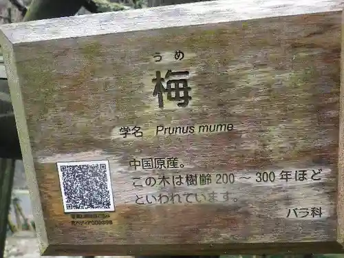 光則寺(神奈川県)