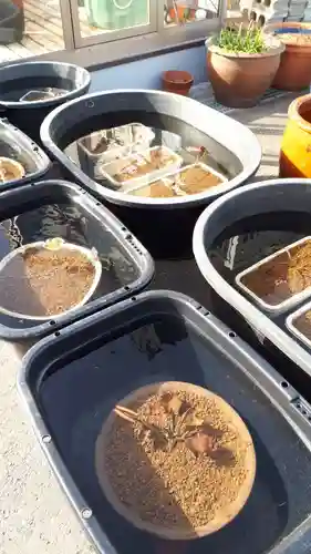 極楽山　浄土寺のその他建物