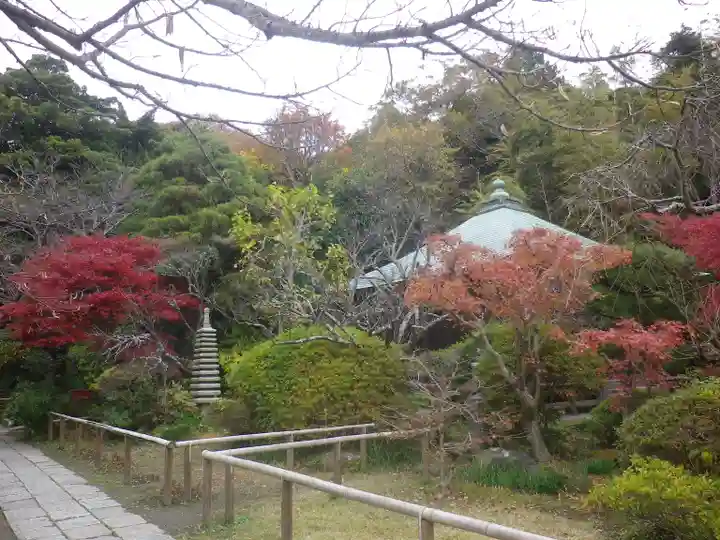 浄光明寺の庭園