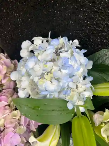 上尾御嶽神社(埼玉県)