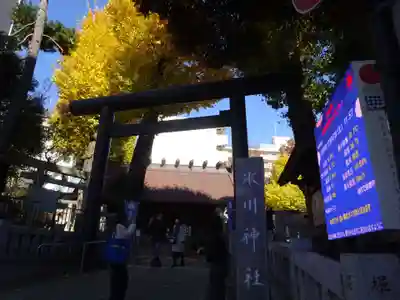高円寺氷川神社の鳥居
