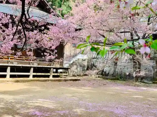 土津神社｜こどもと出世の神さまの自然