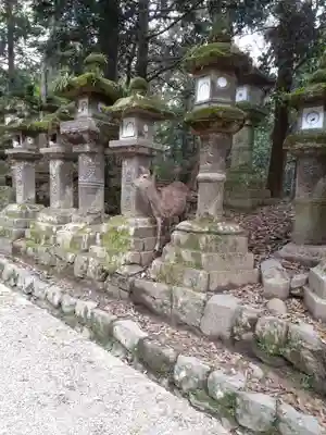 春日大社(奈良県)