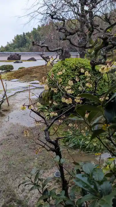 正法寺(京都府)