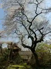 光丸山 法輪寺(栃木県)