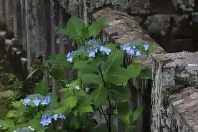 国宝 大法寺のその他建物