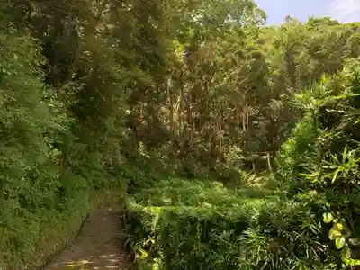 熊野神社の周辺