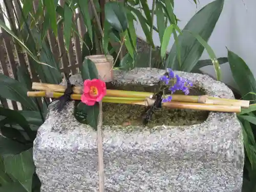 退蔵院の手水舎