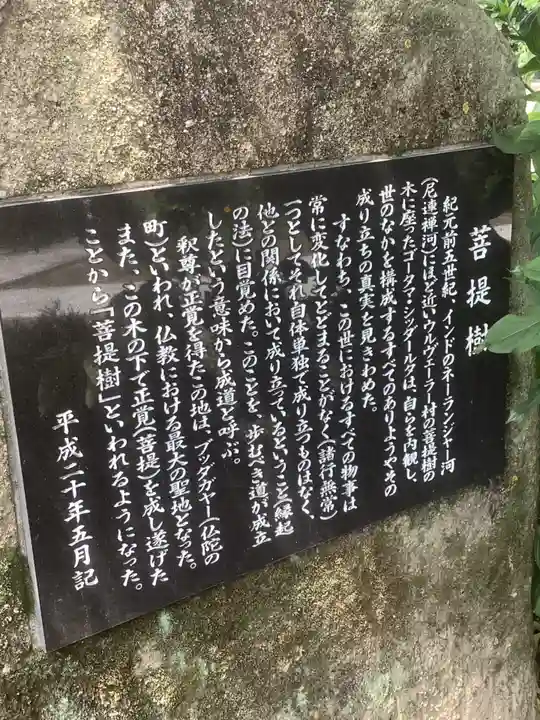 円周寺の歴史