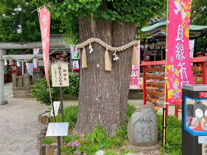 川越八幡宮の自然