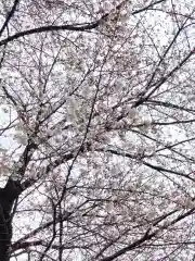 尉殿神社の自然