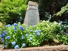 長谷寺(神奈川県)