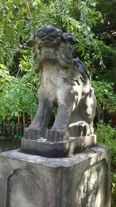 市谷亀岡八幡宮の狛犬