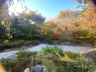 宝筐院の{uncategorized: "未分類", other: "その他", undefined: "問題あり", building: "その他建物", grave: "お墓", sacred_gate: "鳥居", guardian: "狛犬", statue: "像", buddha: "仏像", history: "歴史", nature: "自然", garden: "庭園", animal: "動物", pagoda: "塔", temizu: "手水舎", mountain_gate: "山門・神門", sanctuary: "本殿・本堂", subordinate: "末社・摂社", art: "芸術", scenery: "景色", jizo: "地蔵", ema: "絵馬", goshuin: "御朱印", omikuji: "おみくじ", items: "授与品その他", amulet: "お守り", goshuincho: "御朱印帳", eats: "食事", festival: "お祭り", votive_dance: "神楽", shichigosan: "七五三参", wedding: "結婚式", experience: "体験その他", initially: "初詣", around: "周辺", anti_infection: "感染症対策"}