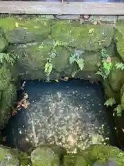 金蛇水神社の建物その他