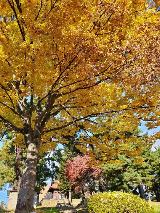 麓山神社の自然