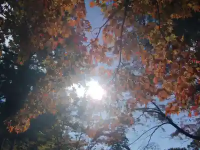 華厳寺(岐阜県)