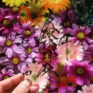 札幌諏訪神社の御朱印(2021年10月04日(月) 09時48分12秒投稿)