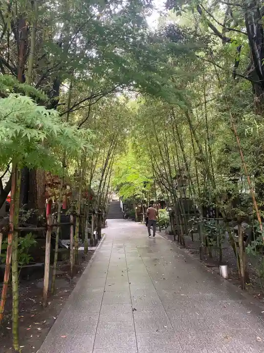 來宮神社(静岡県)