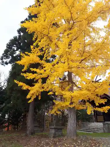 晩生内神社の自然