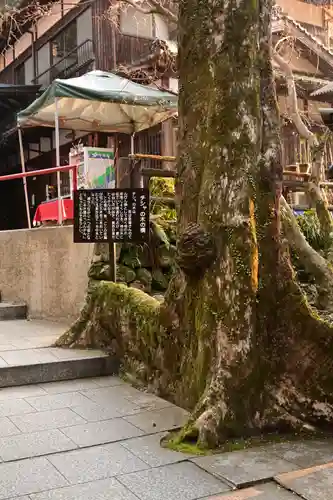 龍蔵寺(山口県)
