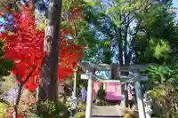 隠津島神社の鳥居