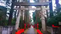 馬橋稲荷神社の鳥居