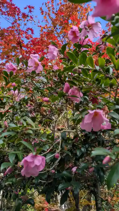 寂光院(京都府)
