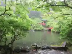 醍醐寺の庭園