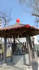 辛崎神社の手水