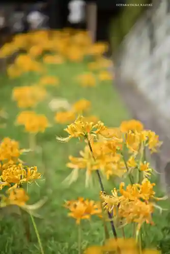 横浜　西方寺(神奈川県)