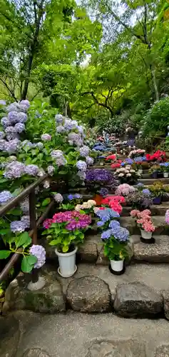 長谷寺(奈良県)