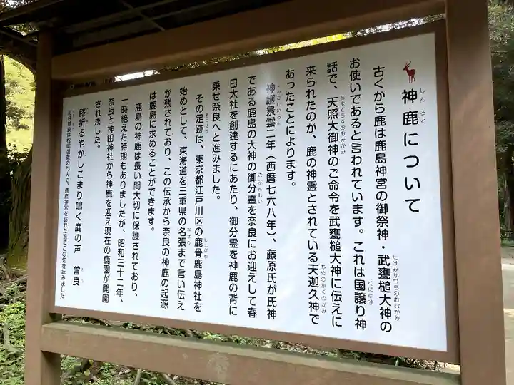 鹿島神宮(茨城県)