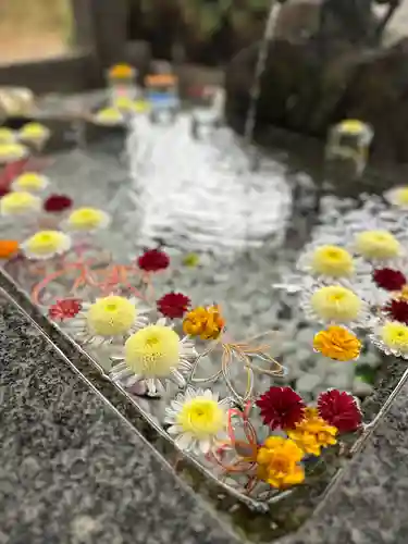 豊龍神社(山形県)