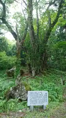 白山神社（下打波）(福井県)