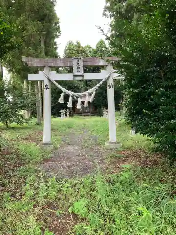 市野沢温泉神社(栃木県)
