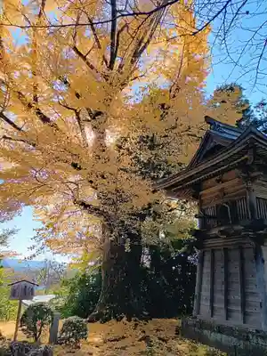 松尾寺(京都府)