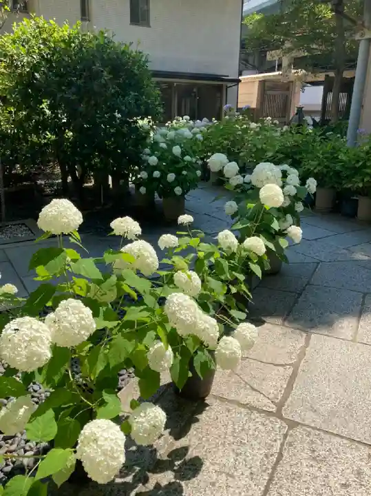 坐摩神社の庭園