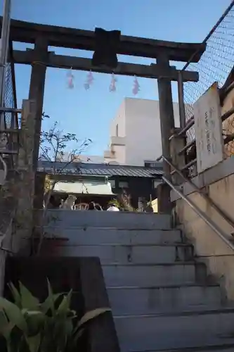 津島神社の鳥居