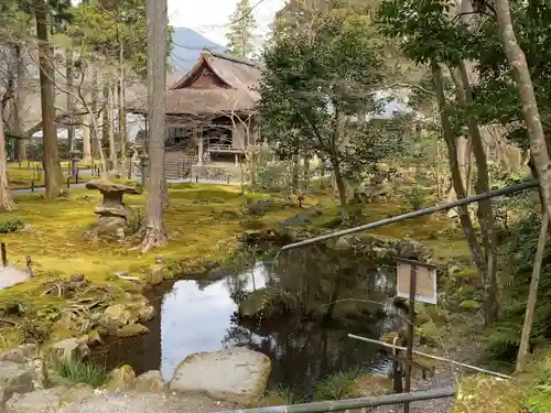 三千院門跡の庭園