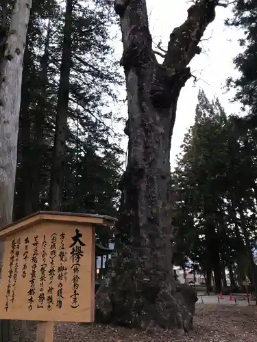 諏訪大社のその他建物