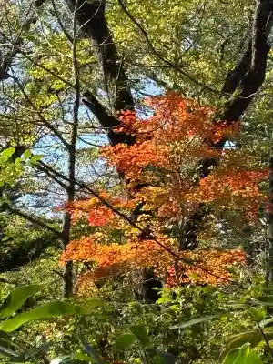 戸隠神社奥社(長野県)