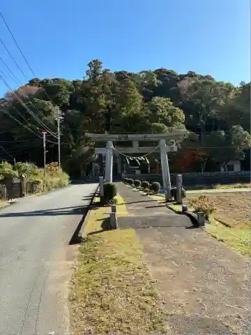 来宮神社(静岡県)