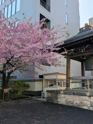 日蓮宗　浄運寺の{uncategorized: "未分類", other: "その他", undefined: "問題あり", building: "その他建物", grave: "お墓", sacred_gate: "鳥居", guardian: "狛犬", statue: "像", buddha: "仏像", history: "歴史", nature: "自然", garden: "庭園", animal: "動物", pagoda: "塔", temizu: "手水舎", mountain_gate: "山門・神門", sanctuary: "本殿・本堂", subordinate: "末社・摂社", art: "芸術", scenery: "景色", jizo: "地蔵", ema: "絵馬", goshuin: "御朱印", omikuji: "おみくじ", items: "授与品その他", amulet: "お守り", goshuincho: "御朱印帳", eats: "食事", festival: "お祭り", votive_dance: "神楽", shichigosan: "七五三参", wedding: "結婚式", experience: "体験その他", initially: "初詣", around: "周辺", anti_infection: "感染症対策"}