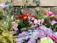 生田神社(兵庫県)