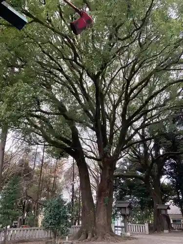 洲崎大神(神奈川県)