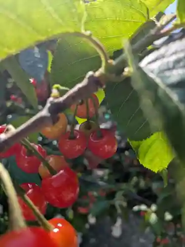 今戸神社(東京都)