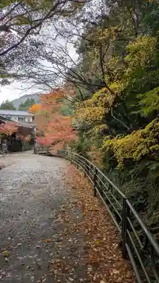 三千院門跡(京都府)