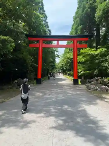 霧島神宮の{uncategorized: "未分類", other: "その他", undefined: "問題あり", building: "その他建物", grave: "お墓", sacred_gate: "鳥居", guardian: "狛犬", statue: "像", buddha: "仏像", history: "歴史", nature: "自然", garden: "庭園", animal: "動物", pagoda: "塔", temizu: "手水舎", mountain_gate: "山門・神門", sanctuary: "本殿・本堂", subordinate: "末社・摂社", art: "芸術", scenery: "景色", jizo: "地蔵", ema: "絵馬", goshuin: "御朱印", omikuji: "おみくじ", items: "授与品その他", amulet: "お守り", goshuincho: "御朱印帳", eats: "食事", festival: "お祭り", votive_dance: "神楽", shichigosan: "七五三参", wedding: "結婚式", experience: "体験その他", initially: "初詣", around: "周辺", anti_infection: "感染症対策"}
